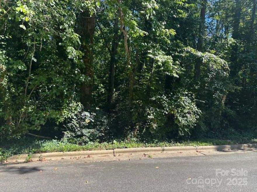 Build your dream hom ein the desirable Forest Park Subdivision! This 0.41 acre homesite offers mature lan dscaping and the convenience of city water and city sewer available at the street. Enjoy a prime location close to Downtown Hickory and the Farmers Market, with quick access to dining, parks, and community events. Nestled in an established neighborhood served by sought-after schools, this property delivers the perfect blend of convenience and charm.