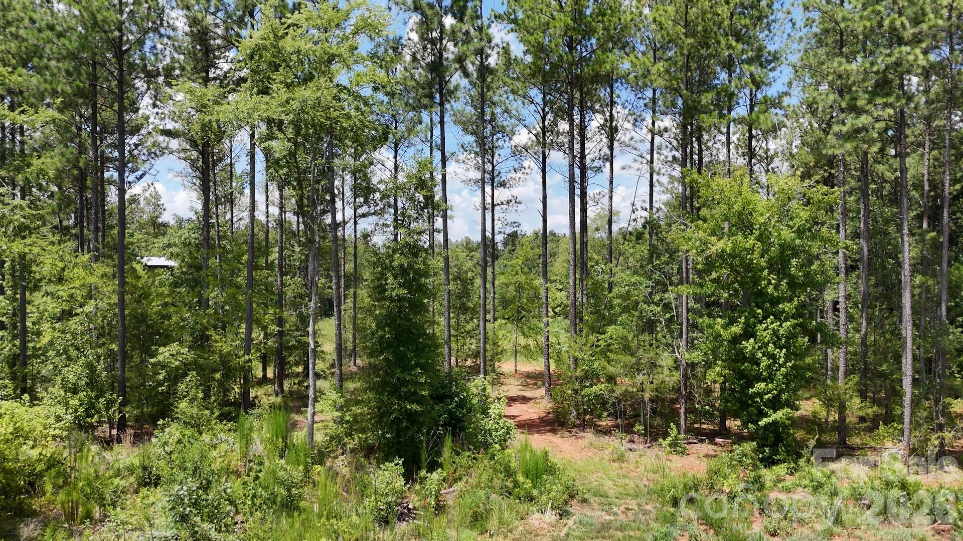 6+/- AC Parson Road
