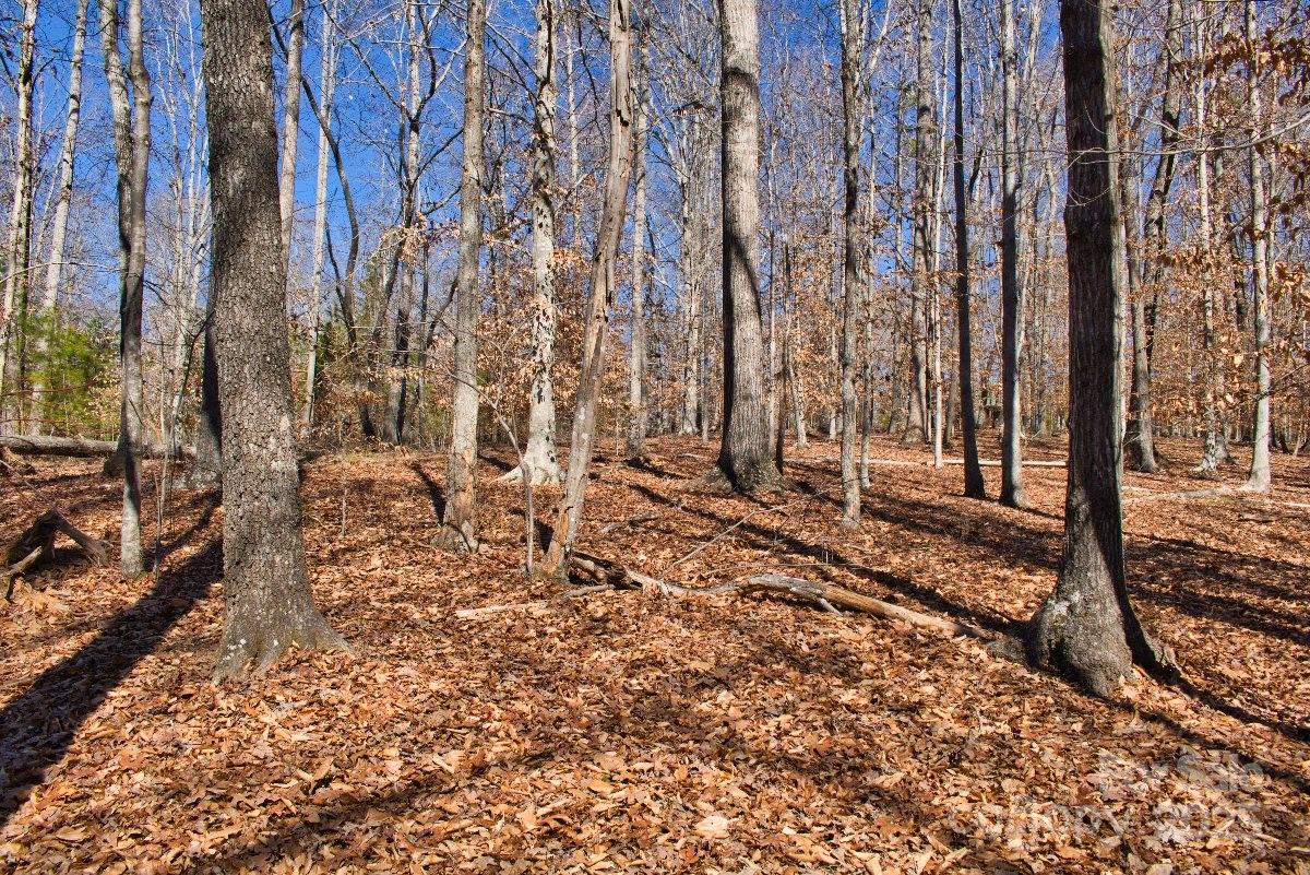 Clearwater Creek - Land