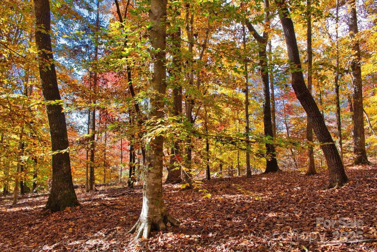 Clearwater Creek - Land