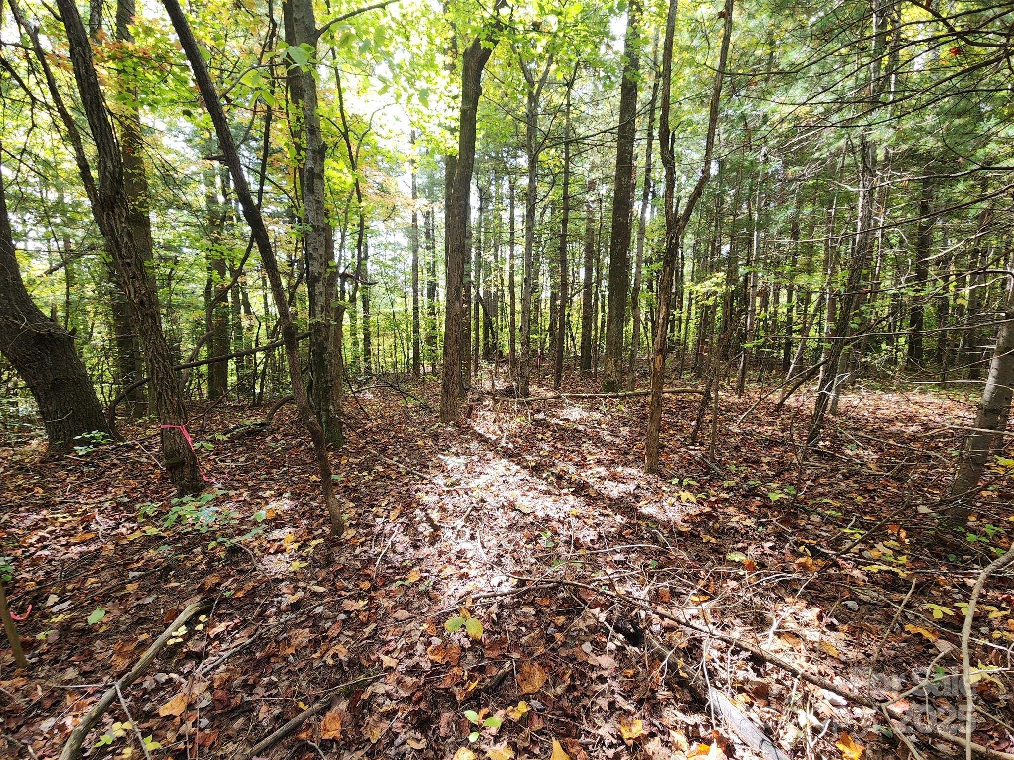 99999 N Pointe Drive 5 and #30