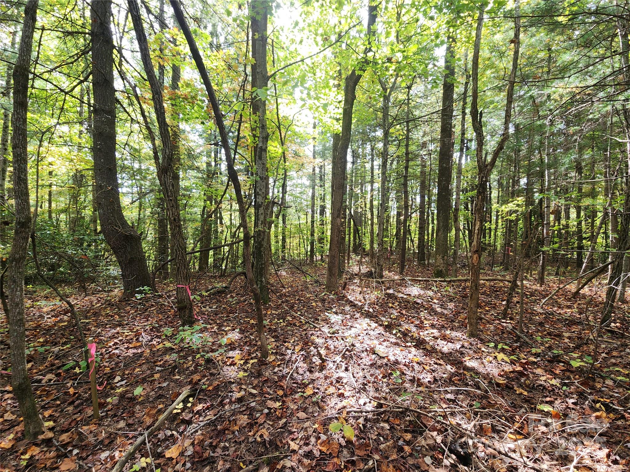 99999 N Pointe Drive 5 and #30