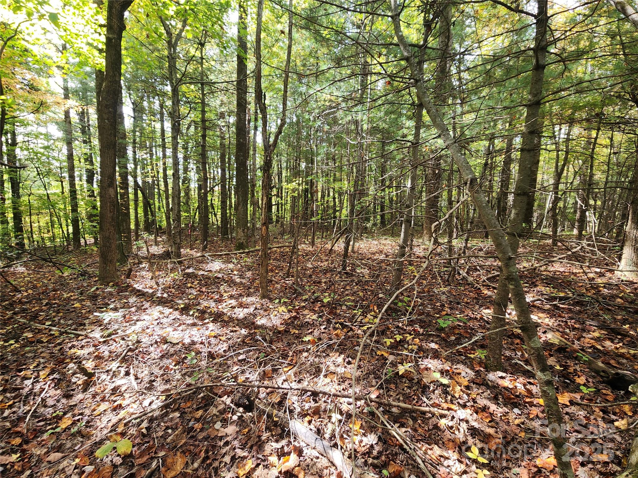 99999 N Pointe Drive 5 and #30