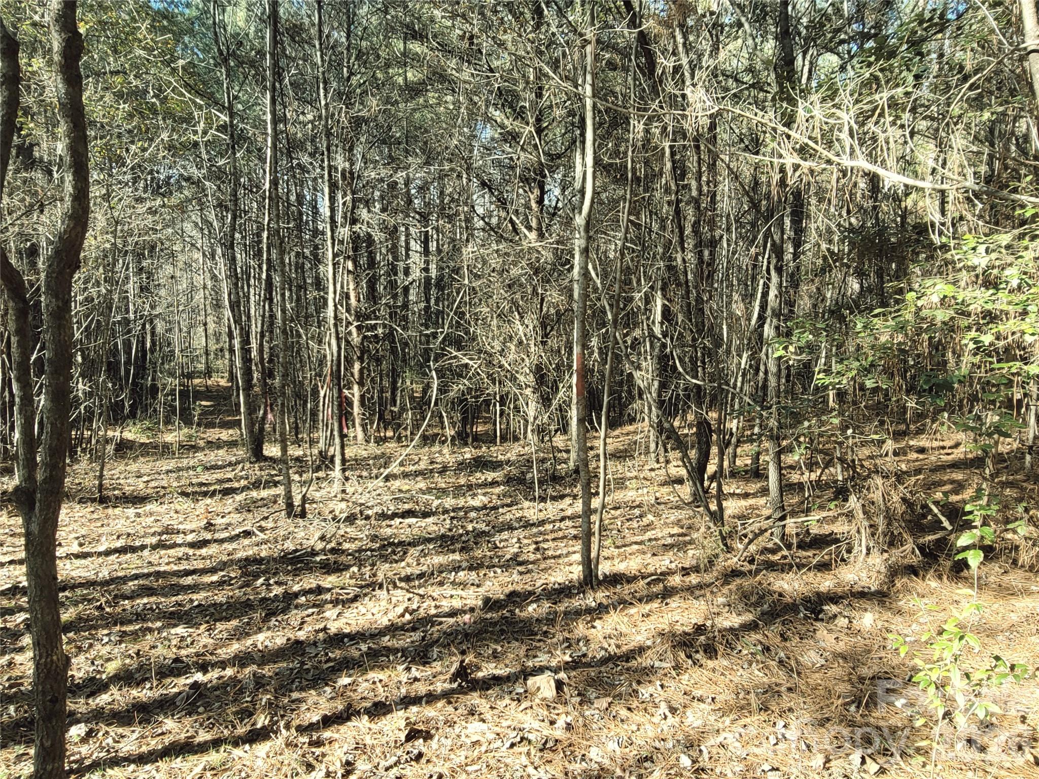 Deer Run Farms - Land