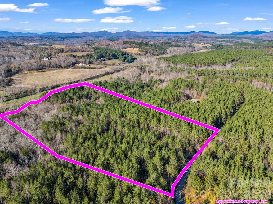 Discover 13.5+ acres of pure Carolina beauty in the Deer Run Farms community of Rutherfordton! This exceptional tract offers a serene, park-like setting with a perfect balance of privacy, accessibility, and natural charm. Tucked away on a peaceful country road, the property greets you with level, usable land—ideal for a wide range of possibilities, from building your dream home or mini-farm to creating a private retreat or recreational paradise. Multiple options for building, tuck away far from the road in a tree surrounded paradise and enjoy as much seclusion as you want.

The land itself is a rare find: gently rolling to flat terrain, loblolly pines and mature hardwoods, and very little underbrush make the acreage easy to explore and envision. A flowing creek meanders through the middle and rear portions of the property, adding to the sense of tranquility and natural character. You’ll find this parcel is a true haven for wildlife—deer, turkey, and songbirds call this place home—making it a wonderful choice for outdoor enthusiasts, nature lovers, or anyone who dreams of a peaceful escape surrounded by native beauty.

Location is key, and this property delivers. Situated in the foothills of the Blue Ridge Mountains, you’ll enjoy the quiet of the countryside while being just minutes from the conveniences of Rutherfordton, Forest City, and Lake Lure. Rutherfordton is known for its charming downtown, historic Main Street, seasonal festivals, and small-town hospitality. Lake Lure, Chimney Rock, and Tryon International Equestrian Center are all within an easy drive, offering boating, hiking, equestrian events, and year-round recreation. Asheville and Spartanburg are also accessible for day trips, dining, and cultural amenities—perfect for those who want to live quietly yet stay connected.

Deer Run Farms is a community that offers the best of both worlds: peaceful surroundings without HOA restrictions or heavy rules. Whether your vision is a custom mountain farmhouse, a cabin by the creek, a family homestead, or simply a place to relax and camp on weekends, this property provides the space and flexibility to bring your ideas to life. With ample road frontage and level topography, access is simple, and utilities are available nearby, making future development straightforward.

Imagine mornings with coffee by the creek, afternoons exploring your own wooded sanctuary, and evenings under endless stars. Here you can establish gardens, keep horses or livestock, or design trails for ATV riding, hiking, or horseback riding—all on your own land. Properties of this size and usability are increasingly rare in Rutherford County, especially with such a balanced combination of open, buildable space and natural features.

Don’t miss your chance to claim this one-of-a-kind property in a growing, desirable part of Western North Carolina. Bring your dreams, plans, and imagination—the possibilities are endless. Schedule your visit today and experience firsthand the peace, potential, and promise of 13.5+ acres on Farmer John Trail.
