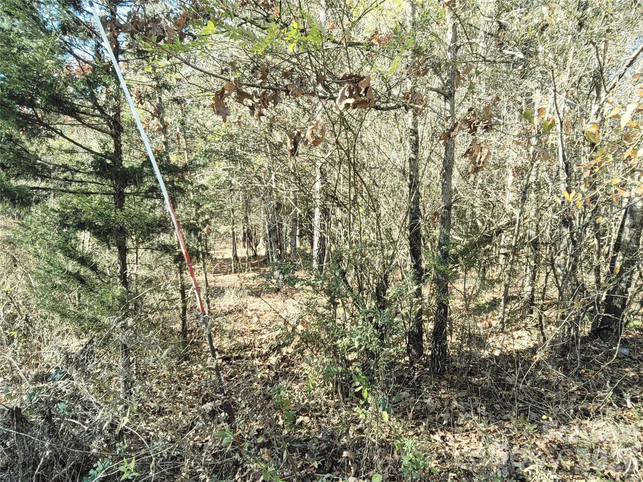 Deer Run Farms - Land