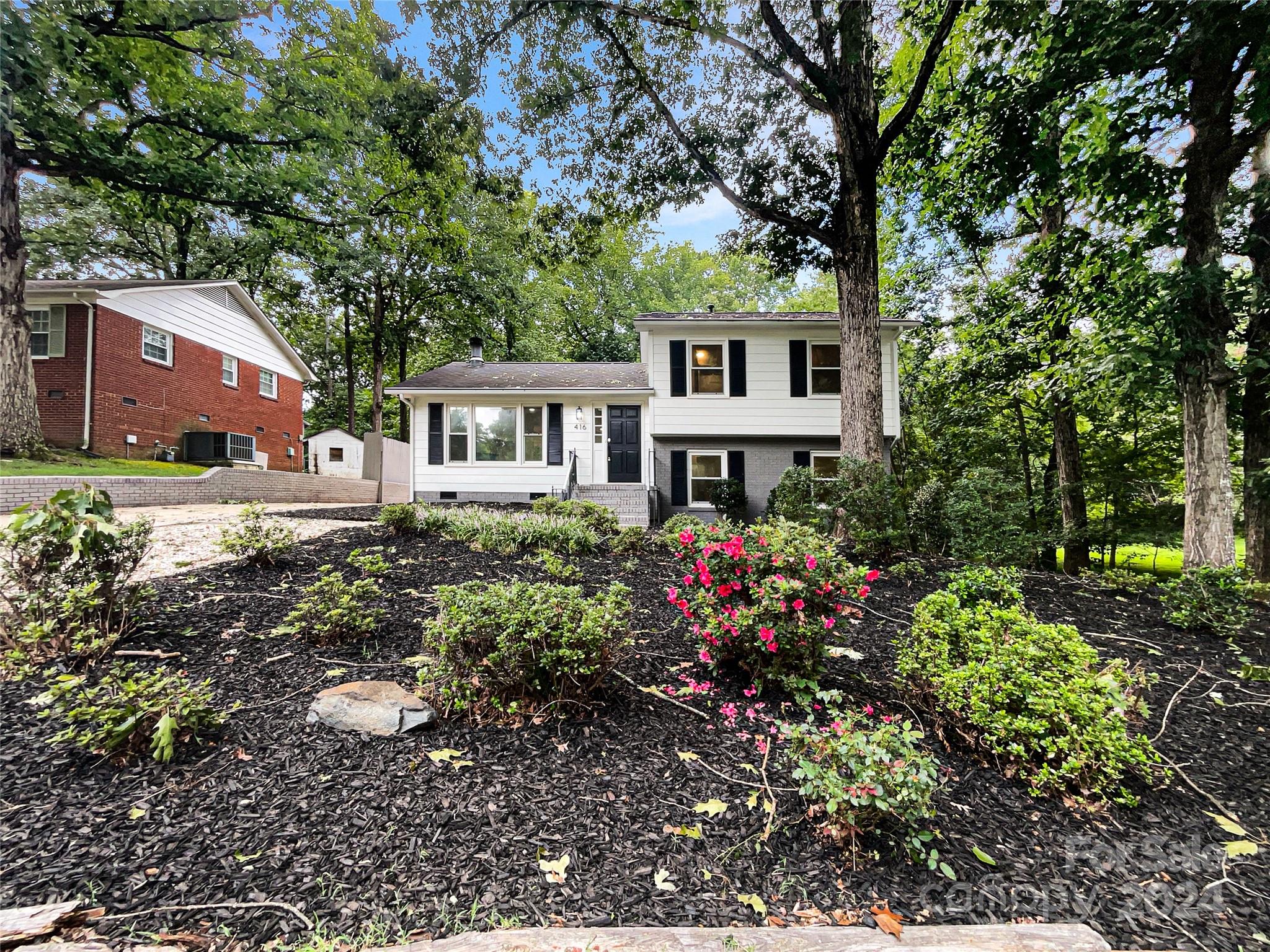 Pine Forest - Residential