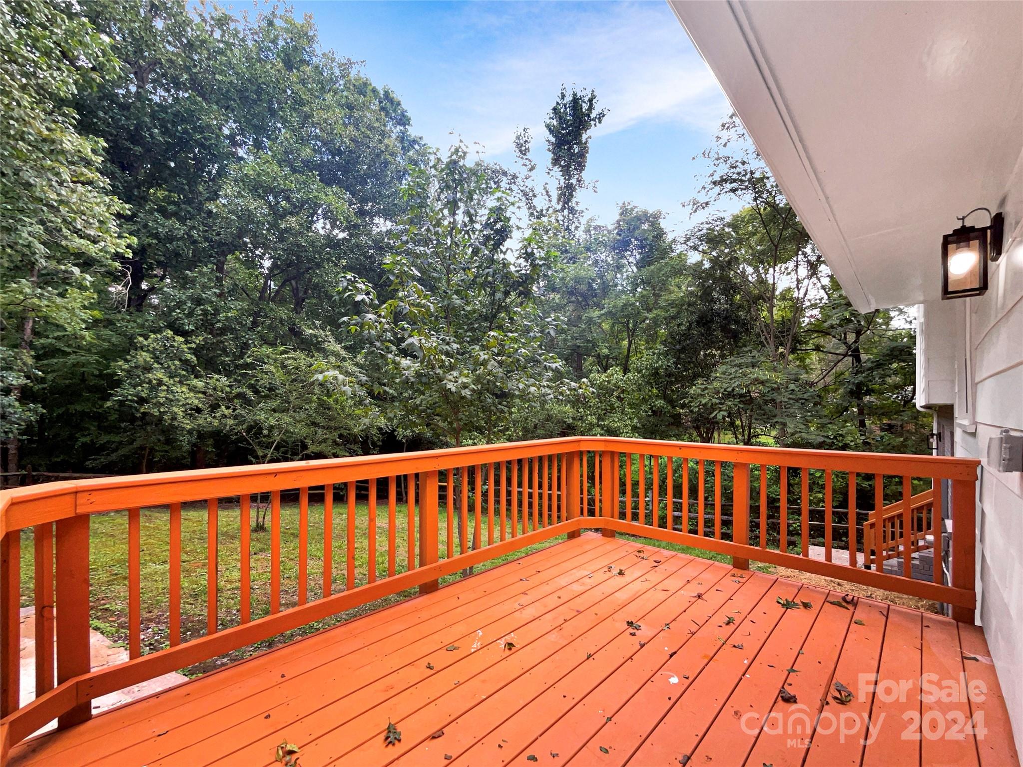 Pine Forest - Residential