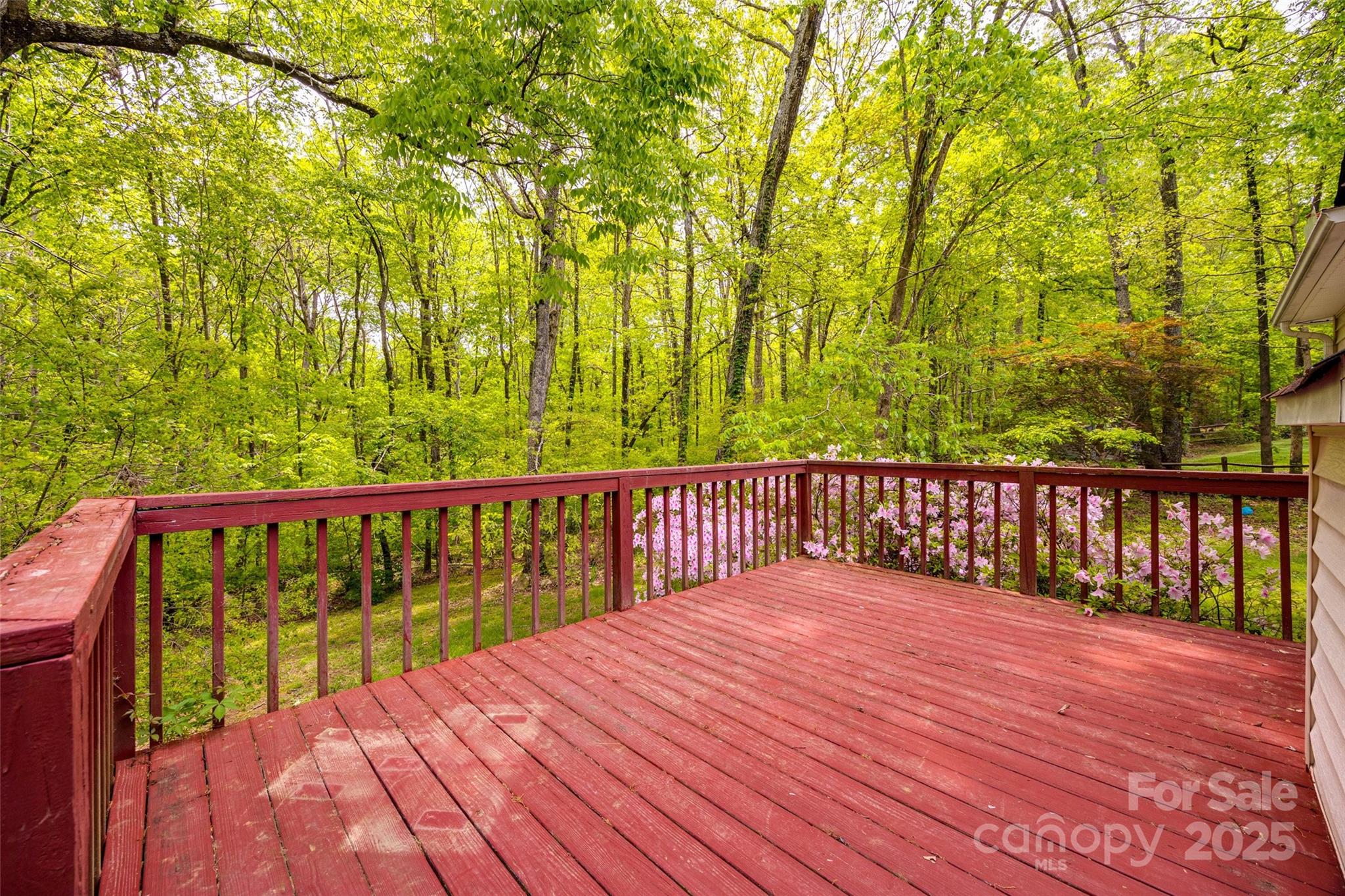 Hidden Forest - Residential