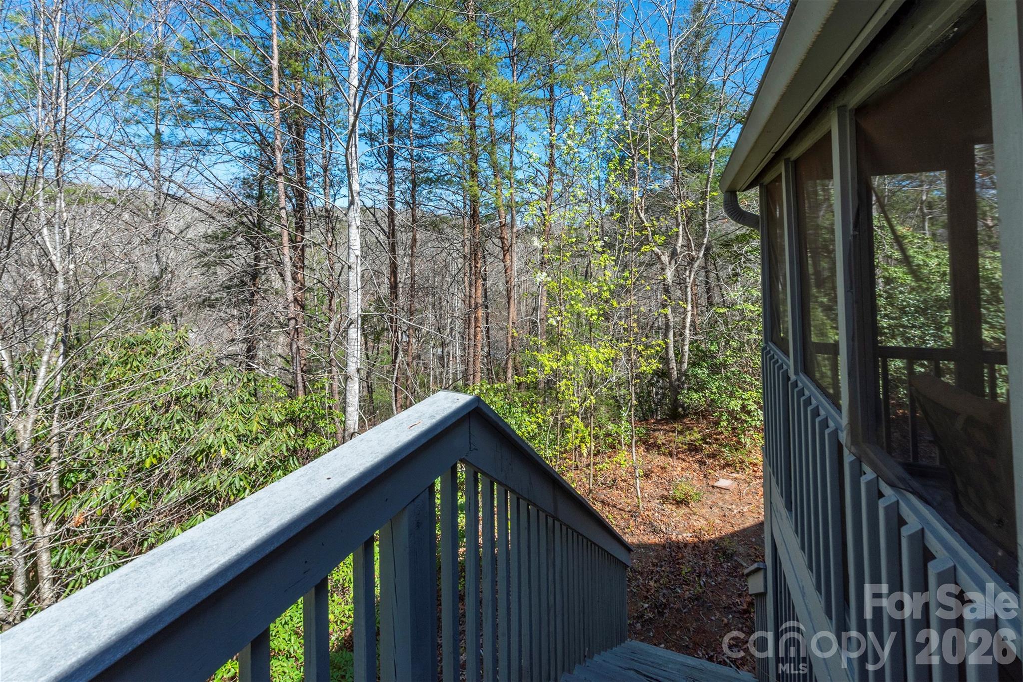 Rumbling Bald on Lake Lure - Residential