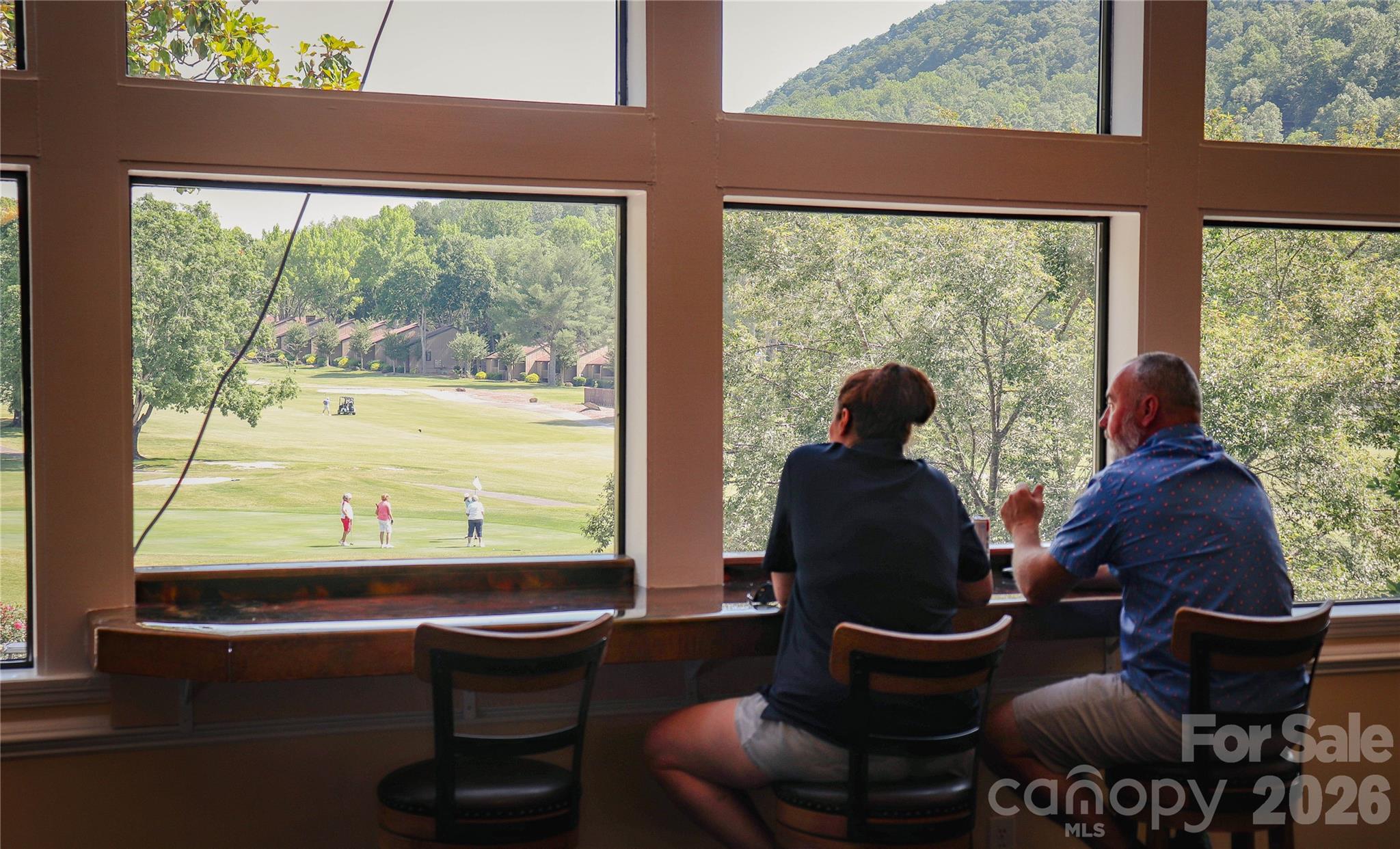 Rumbling Bald on Lake Lure - Residential