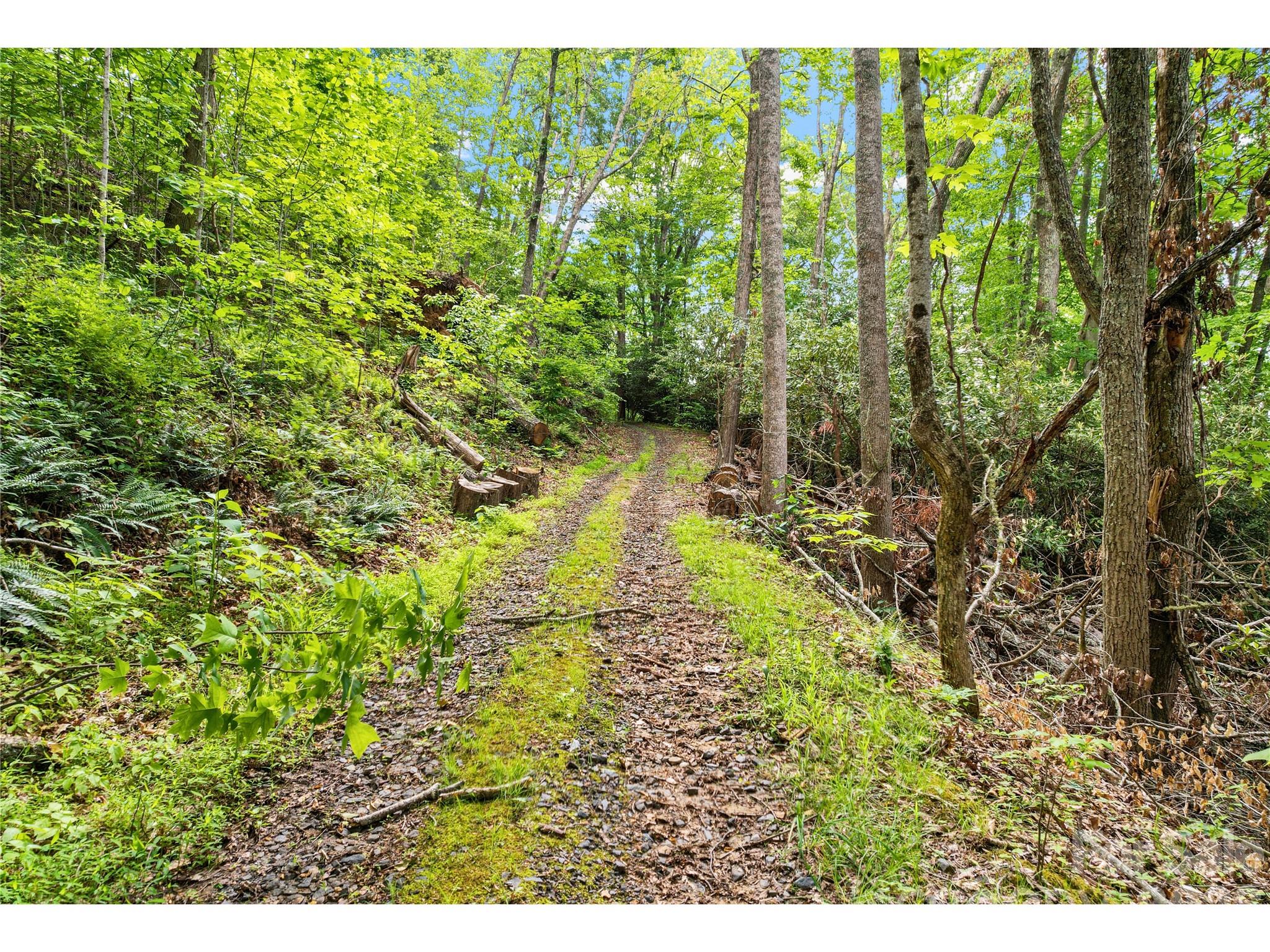 000-000 Bee Branch Road 14AC