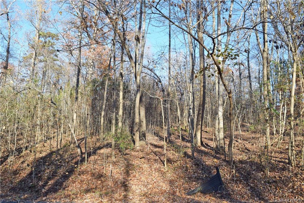 Pine Harbor Estates - Land