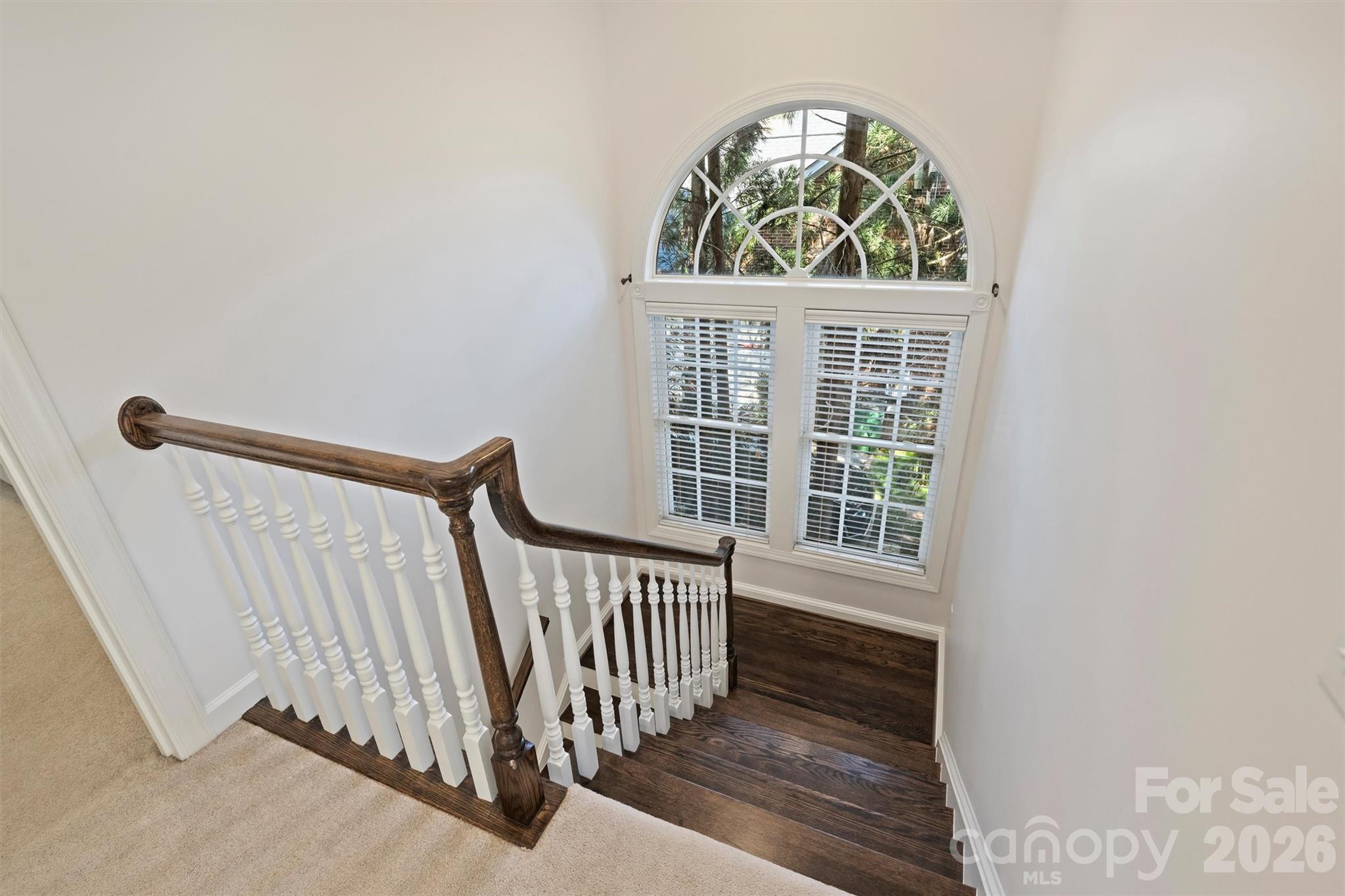 Allyson Park - Residential