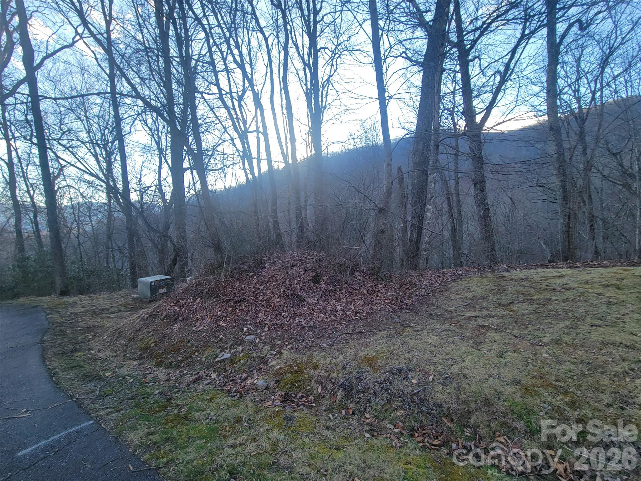 The Cove at Maggie Valley - Land