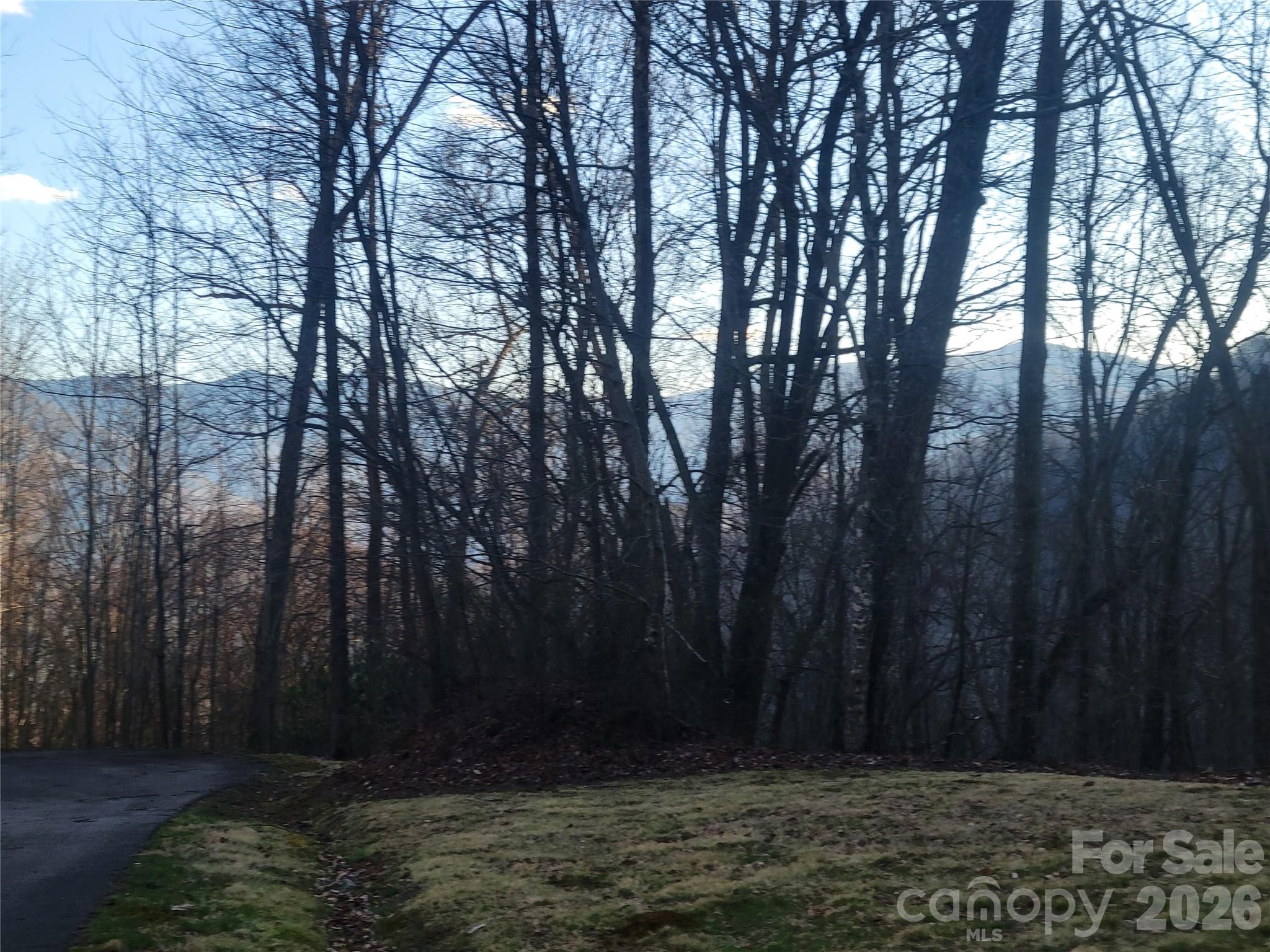 The Cove at Maggie Valley - Land
