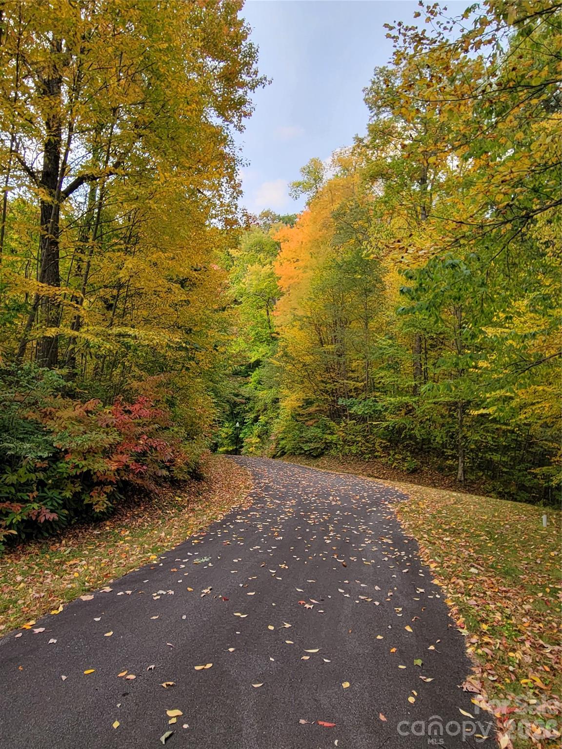 00 Covecrest Drive 13