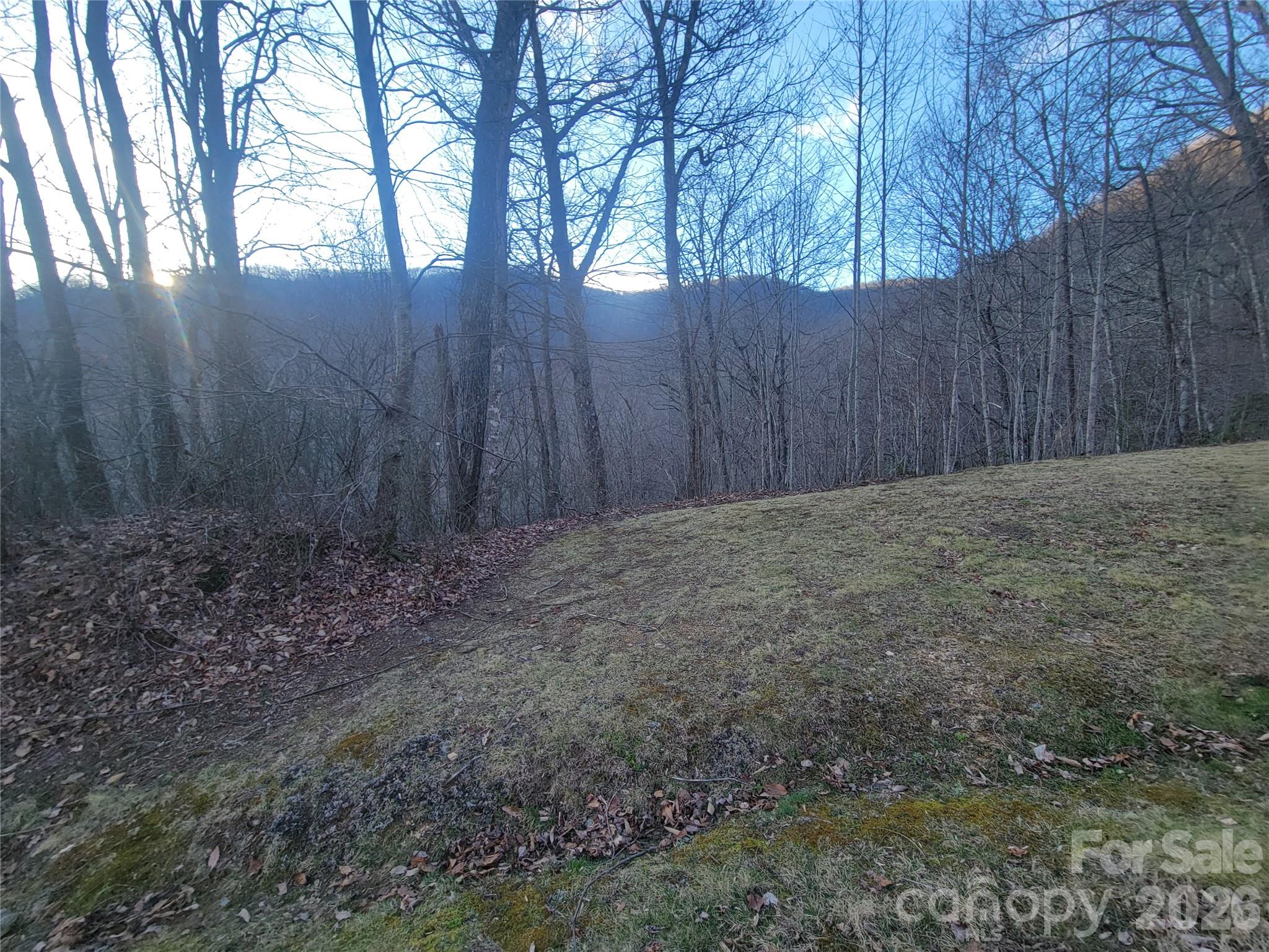The Cove at Maggie Valley - Land