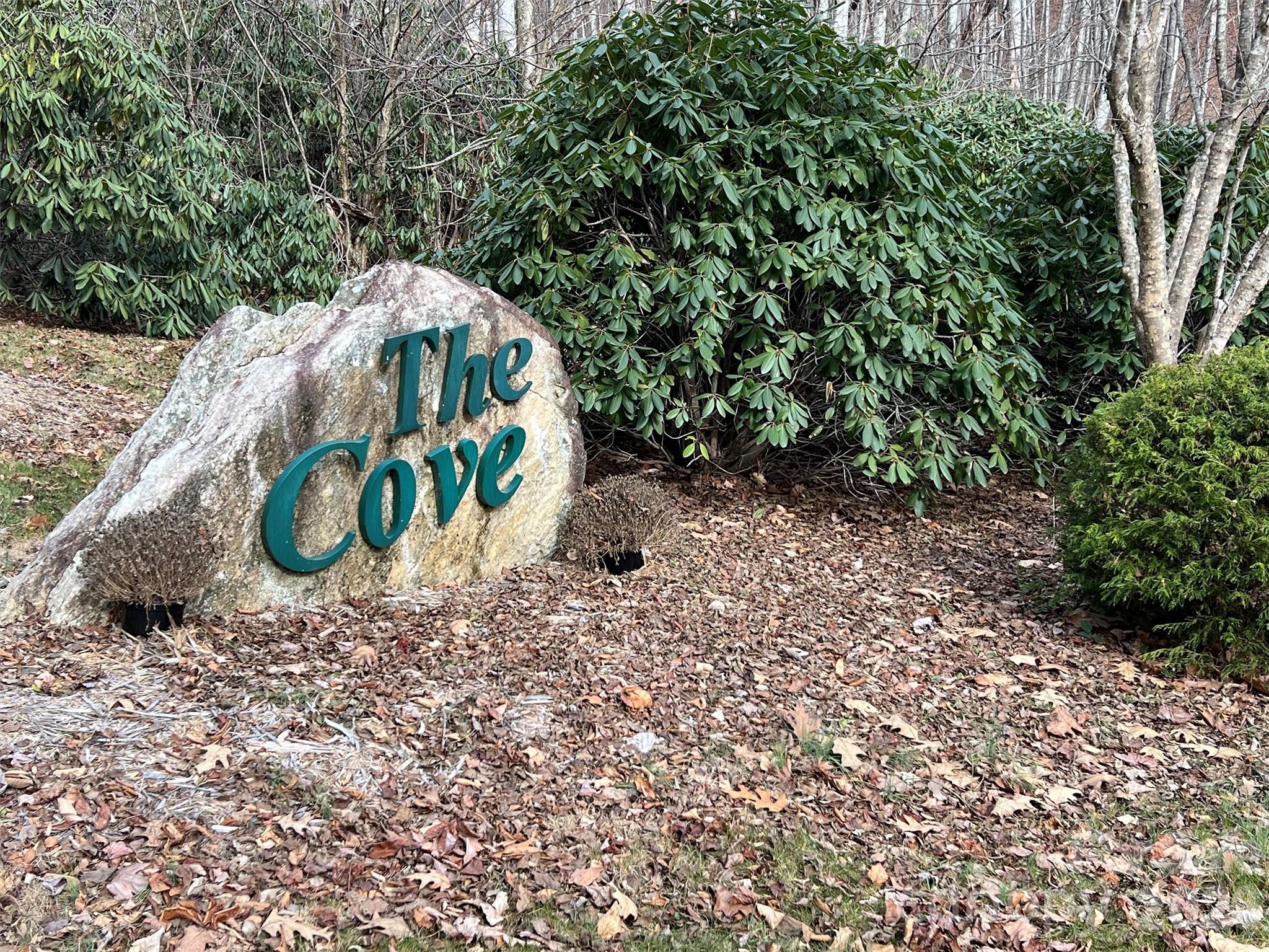 The Cove at Maggie Valley - Land