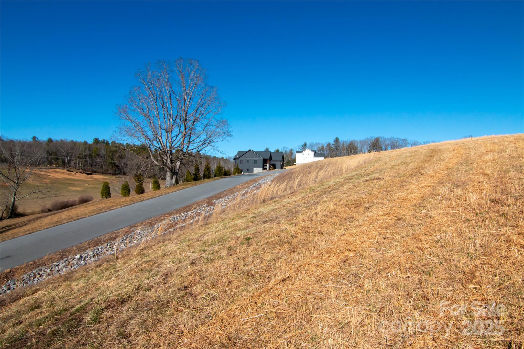 Hidden Meadows of Cane Creek - Land
