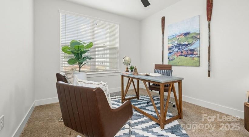 None - Residential Lease