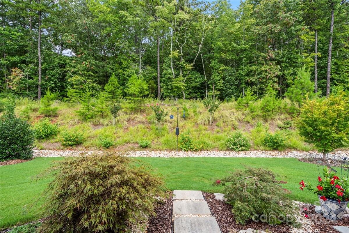 Tree Tops - Residential