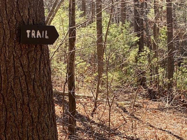 60 LAKEMONT COTTAGE Trail 60