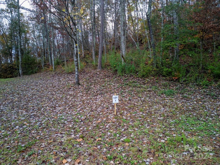 New and exciting opportunity for building in the Old Fort Community!  Be the first to build in the unspoiled richness of Cherry Cove Subdivision, located just a couple of miles from the town center of Old Fort!  This property is situated just along US Highway 70 W.  It is a wooded and private new area that offers so much! Minutes away from downtown Old Fort, Marion and Black Mountain, you will have quick and easy access to restaurants, breweries, shopping, hiking, kayaking, biking and so much more.  I-40 is also an easy access for longer trips to Hickory, Charlotte, Asheville and Tennessee.  This wooded lot is the 1st lot on the left.  The rhododendrons and ferns on this property are so abundant, full and beautiful.  Come on and take a look and get started on your new home today!