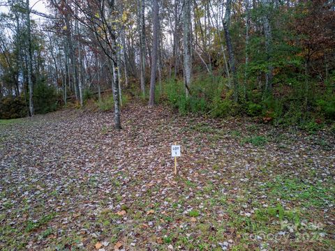 21 Cherry Cove Way 1 Old Fort NC 28762