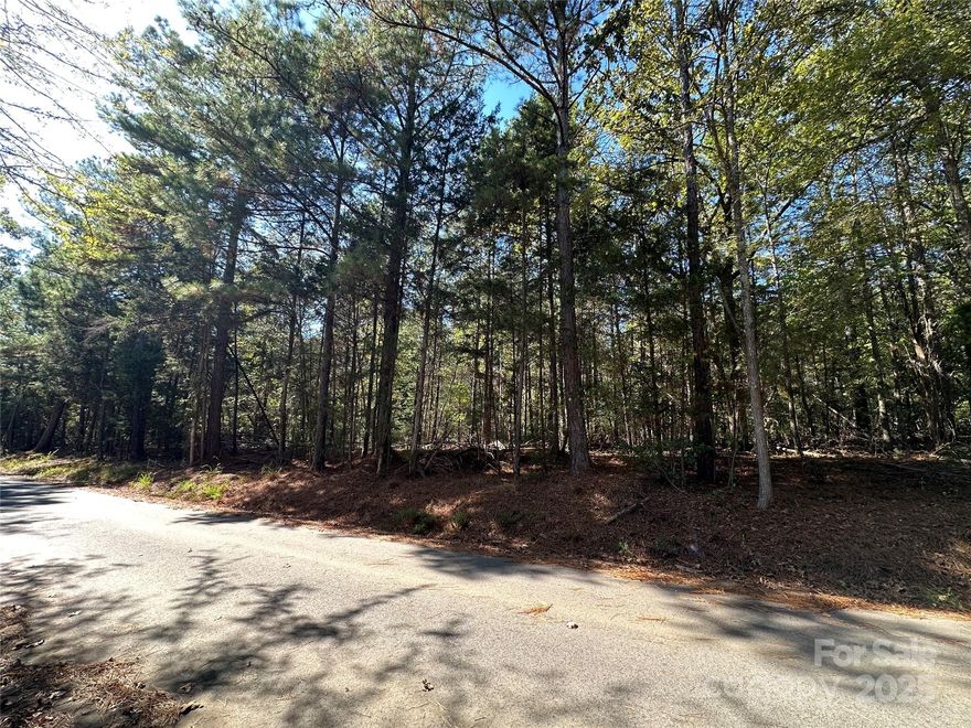 Explore the possibilities with this (+/-).345-acre wooded lot on Poverty Hollow Road in Fort Lawn, SC. This untouched property offers a peaceful, natural setting—perfect for building. Enjoy the quiet charm of country living while remaining conveniently close to nearby towns and highways.