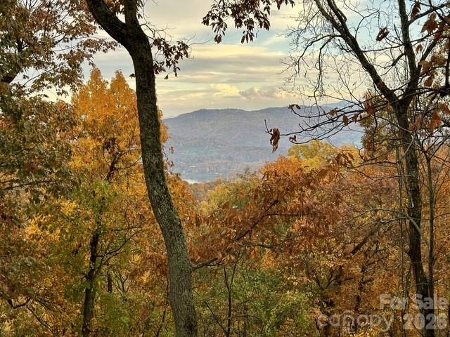 Countryside Acres - Residential