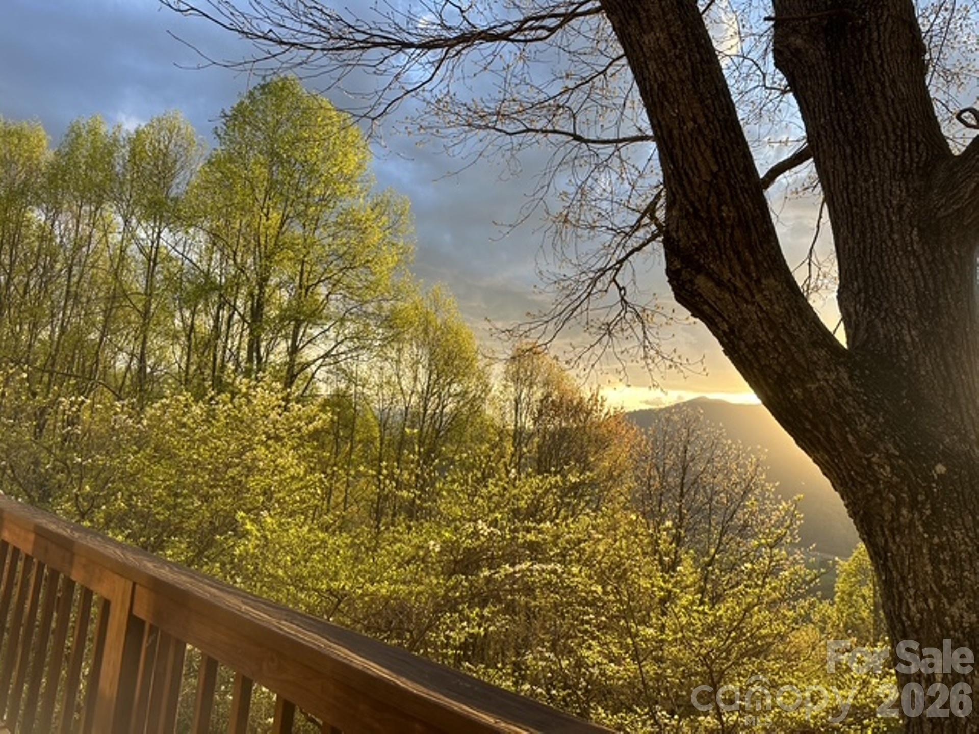 Countryside Acres - Residential