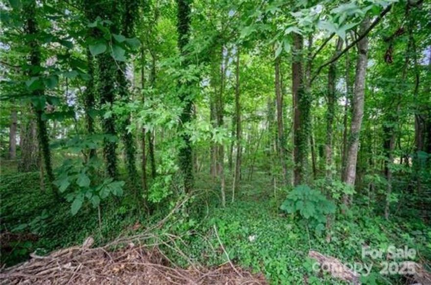 ***.BACK ON MARKET!!! ***PRICE SIGNIFICANTLY DROPPED **** lot in a beautiful and tranquil neighborhood that has wooded lots and delightful homes. This lot is a private oasis yet so close to many conveniences. Now is your chance to build your home in the sought after Mint Hill! Over half an acre it will accommodate the home of your dreams. The property conveniently has a community well so all you'll need is a septic tank. Make an appointment in showing time.