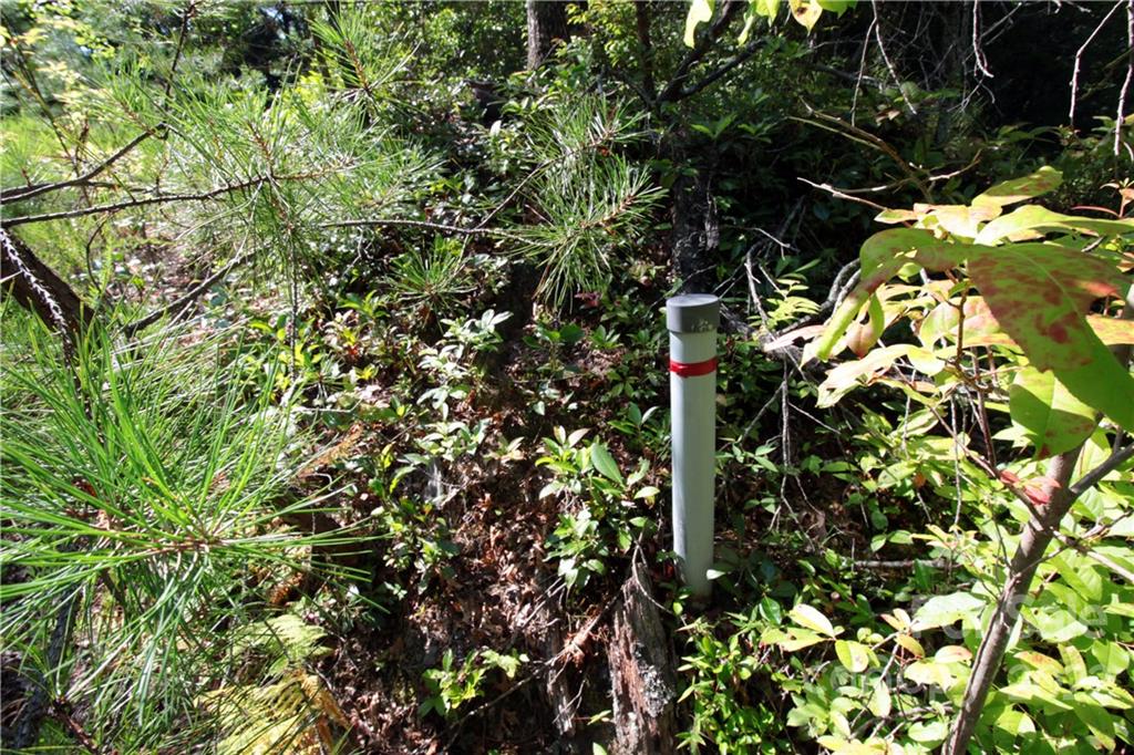 Sylvan Heights - Land