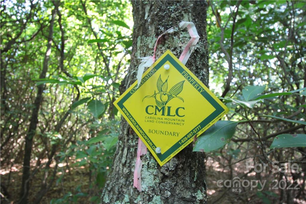 Sylvan Heights - Land