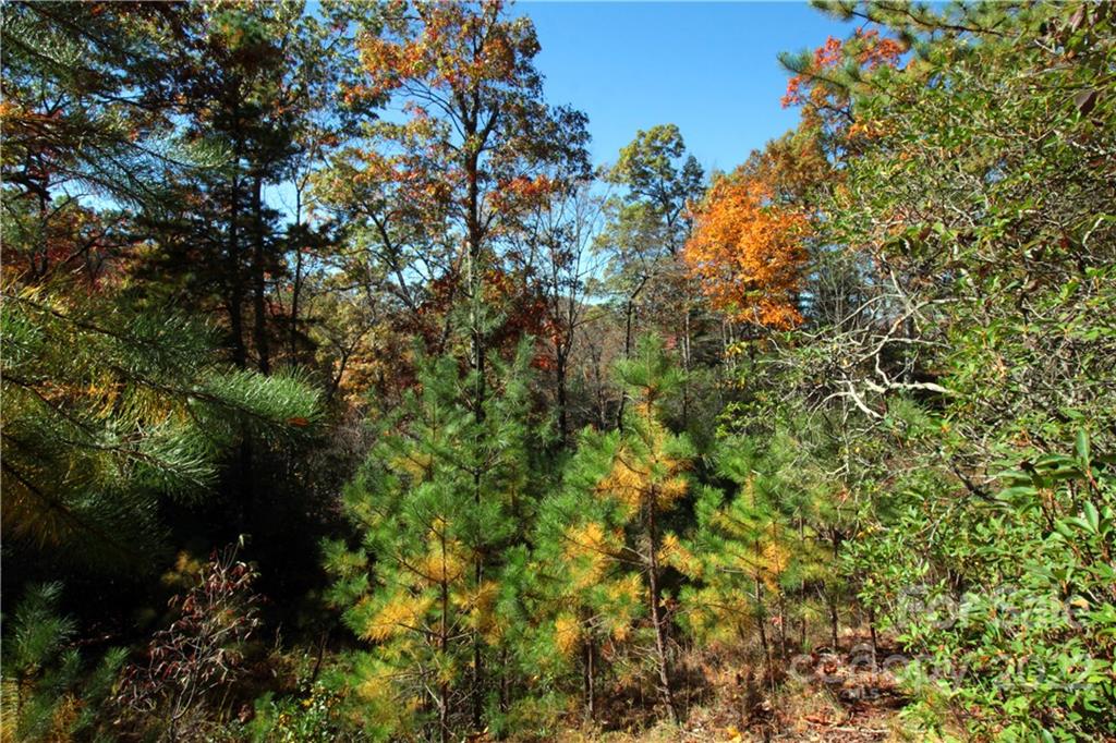 Sylvan Heights - Land