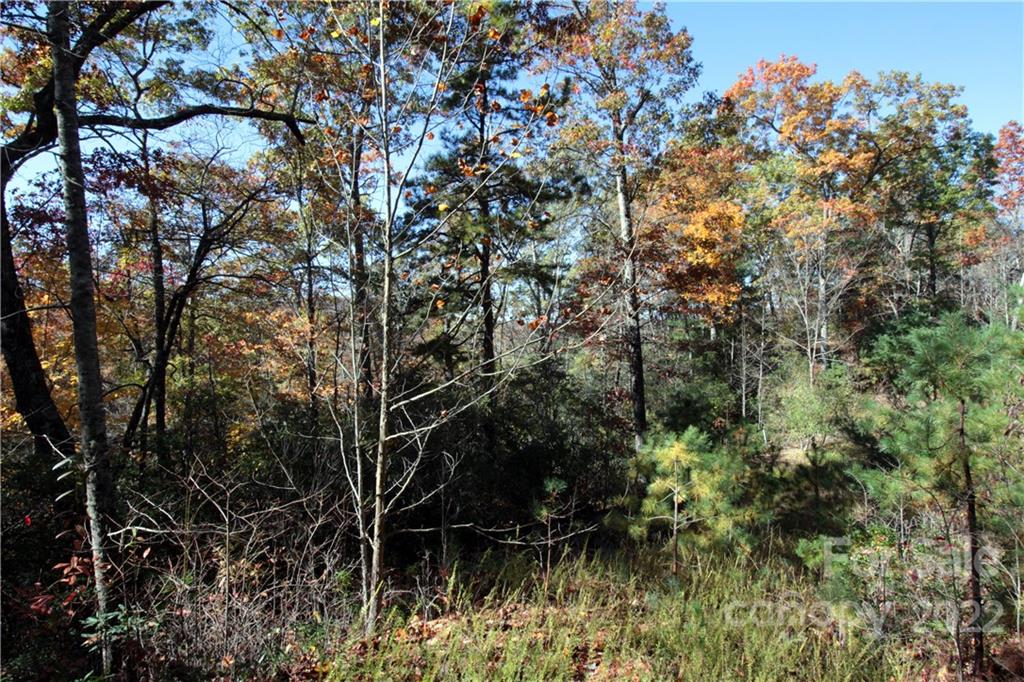 Sylvan Heights - Land