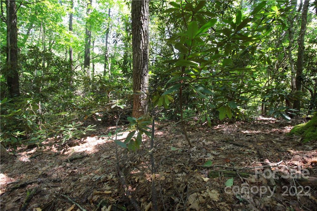 Sylvan Heights - Land