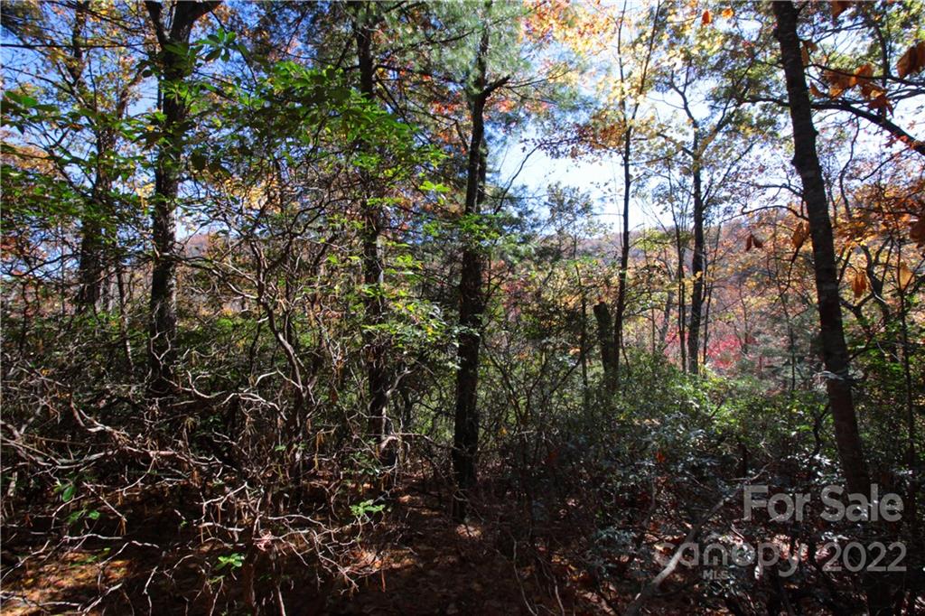 Sylvan Heights - Land