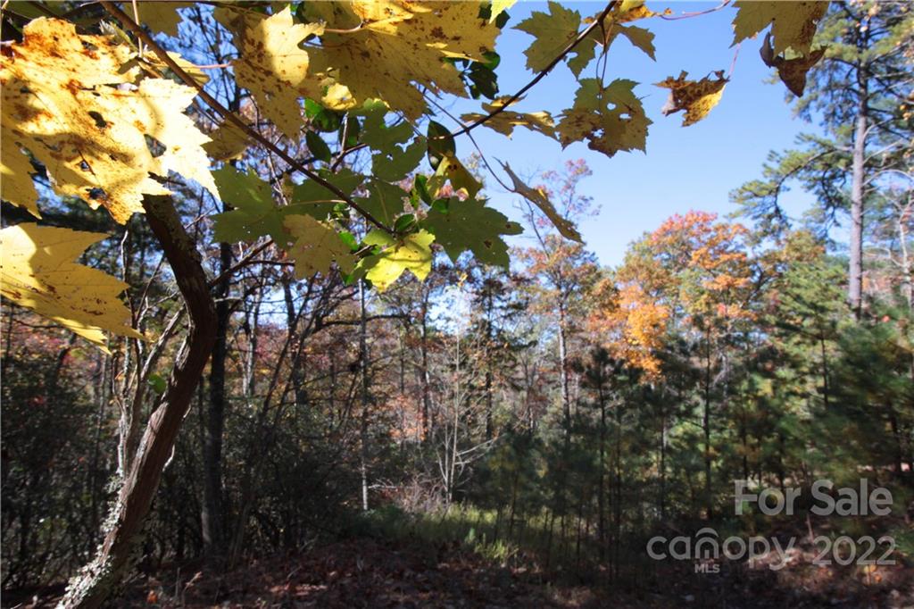 Sylvan Heights - Land