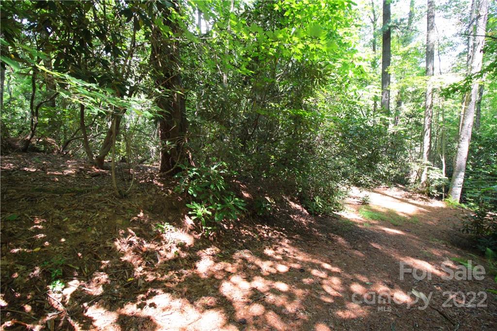 Sylvan Heights - Land