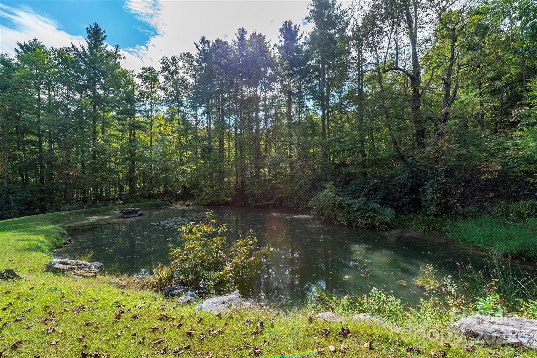 Treehaven - Residential