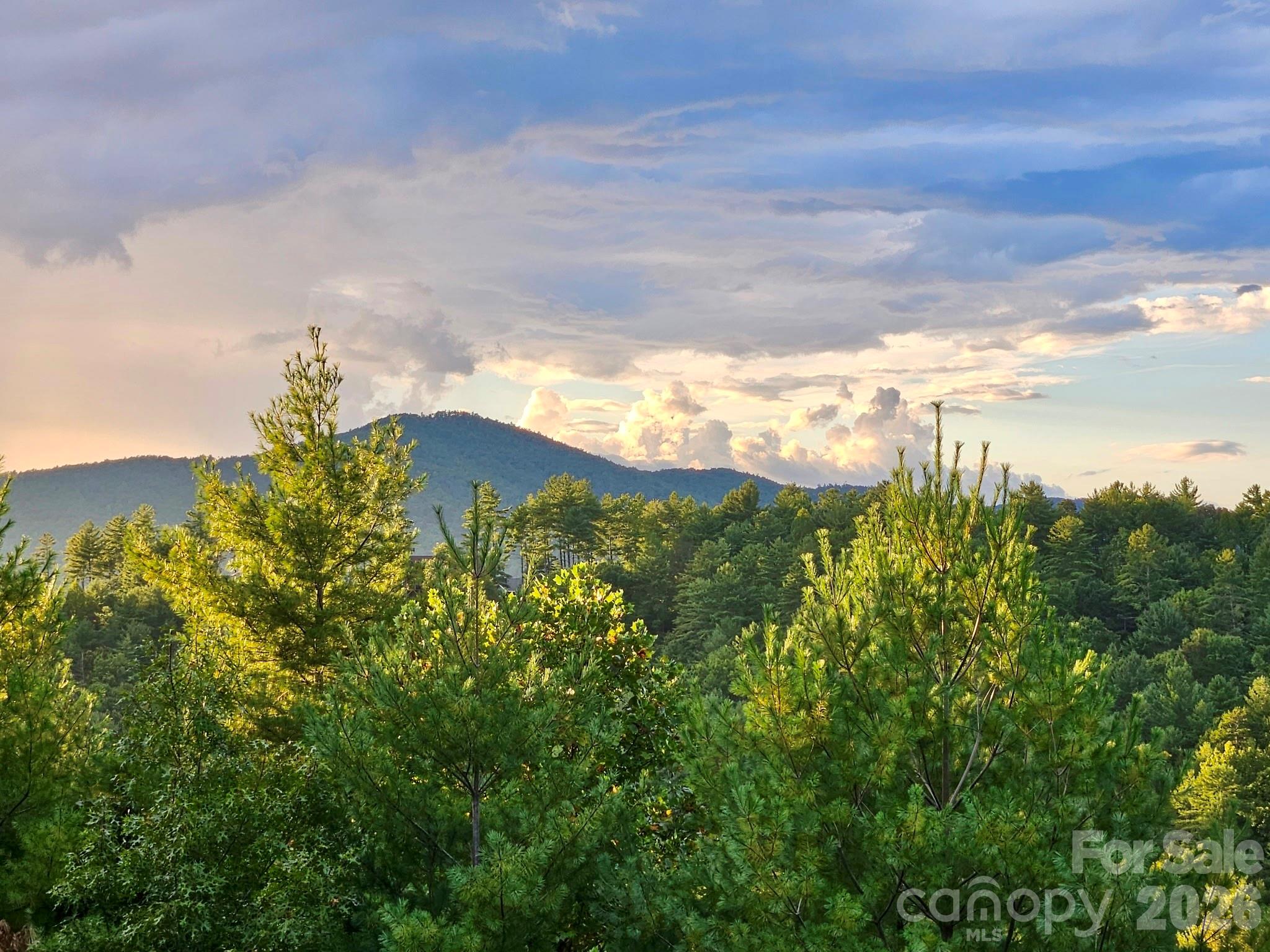 The Coves Mountain River Club - Residential