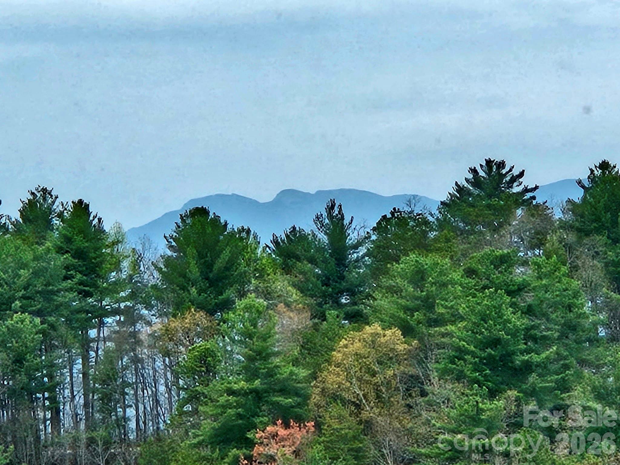 The Coves Mountain River Club - Residential