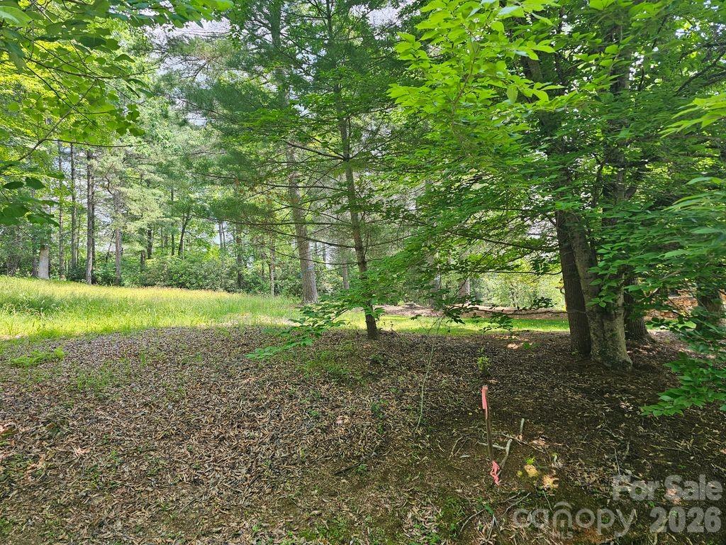 A3 Allison Creek Trail A3