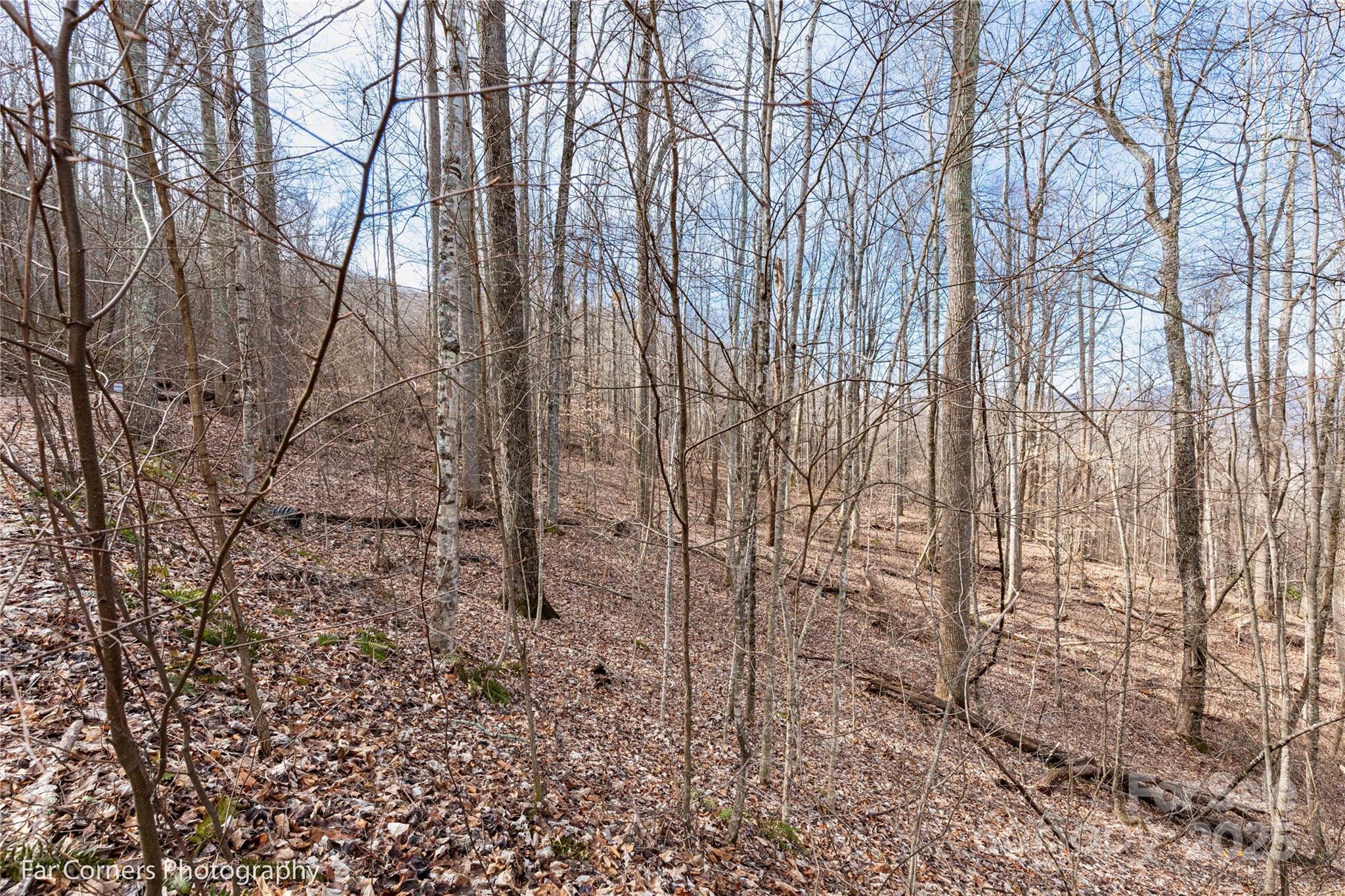 99999 Little Pond Pass E21