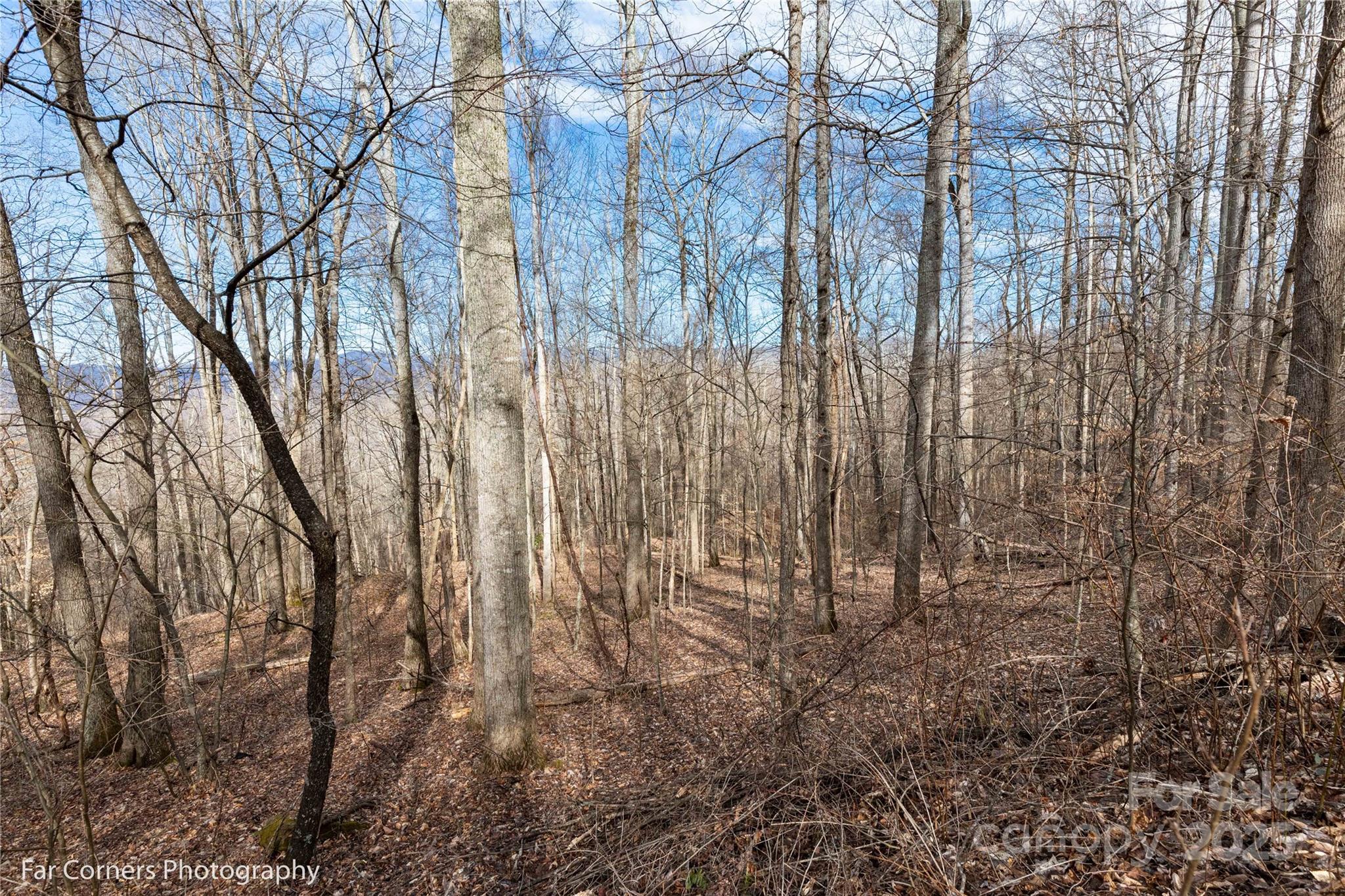 99999 Little Pond Pass E21