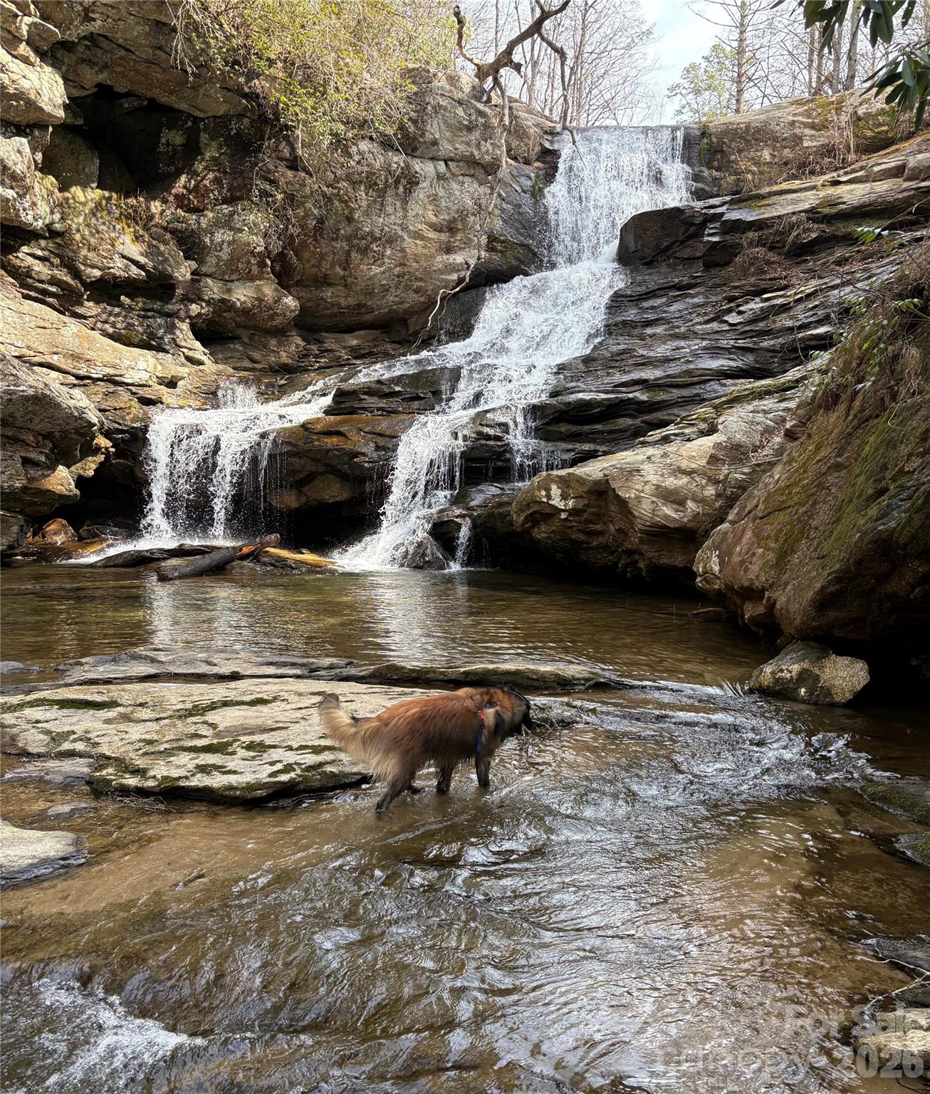 Oleta Falls - Land