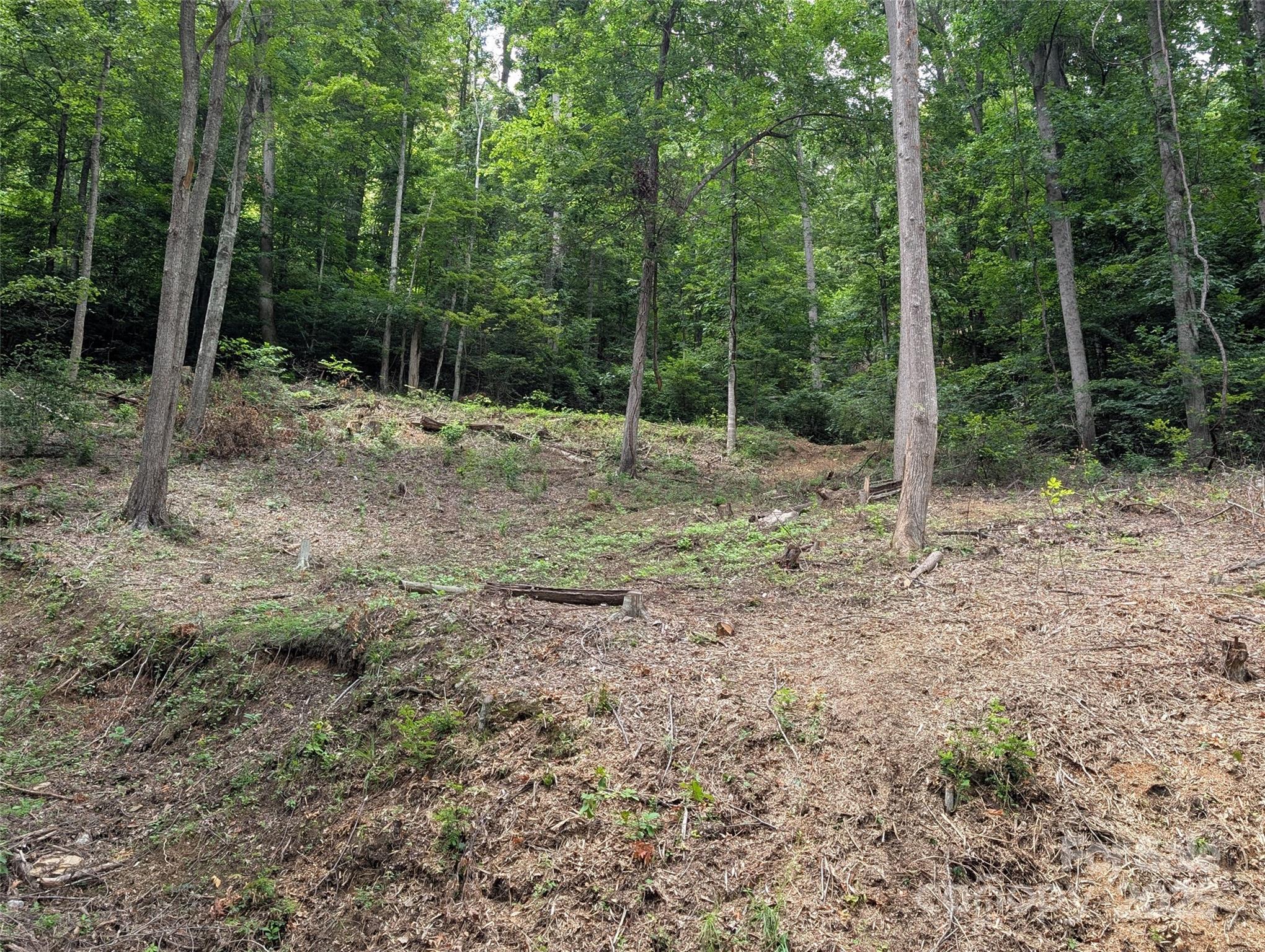 99999 Running Deer Lane 72