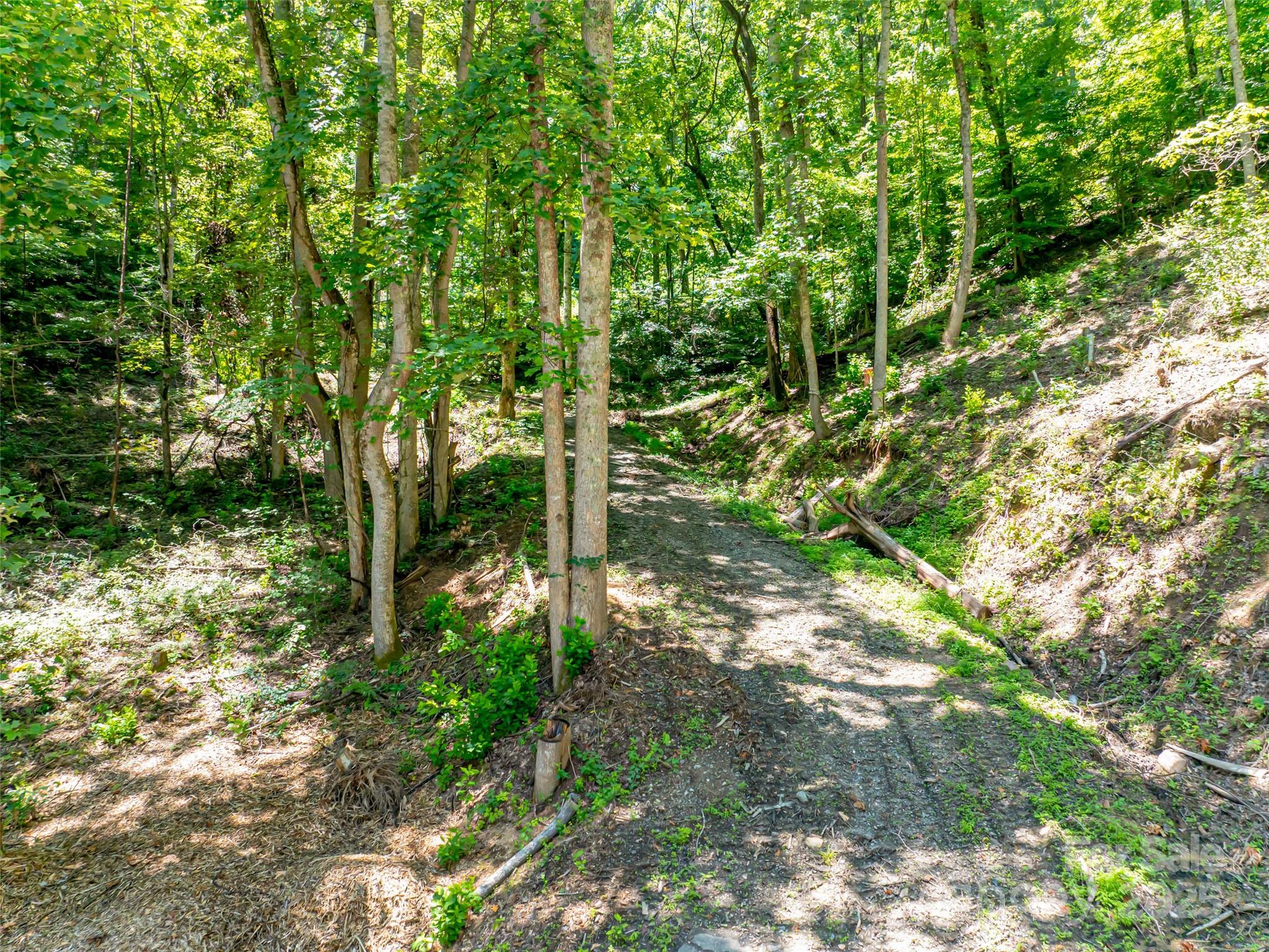 99999 Running Deer Lane 72